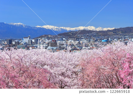 【長野縣】晴天的古墳櫻花與北阿爾卑斯山 122665918