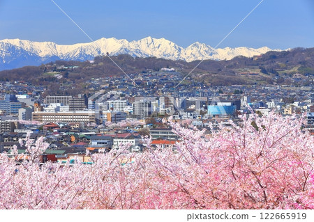 【長野縣】晴天的古墳櫻花與北阿爾卑斯山 122665919