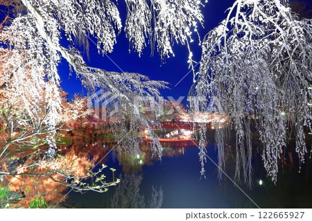 [長野縣] Ryoryu公園的夜櫻花 122665927