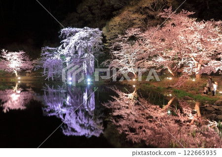[長野縣] Ryoryu公園的夜櫻花 122665935