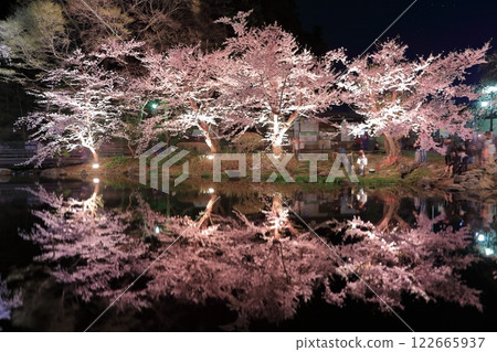 [長野縣] Ryoryu公園的夜櫻花 122665937