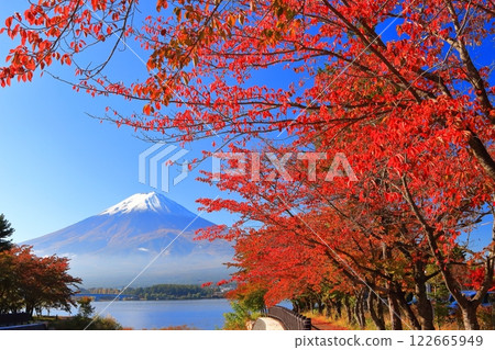 【山梨縣】富士山晴空萬裡,河口湖紅葉絢爛 【山梨縣】富士山晴空萬裡,河口湖紅葉絢爛 122665949