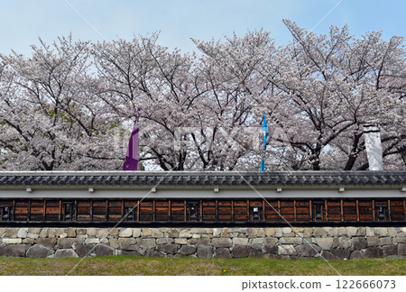 Cherry blossoms at Katsuruji castle in Kyoto 122666073