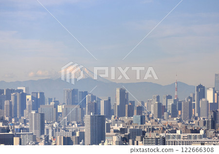 從船堀塔俯瞰市中心的建築、東京鐵塔和富士山 122666308