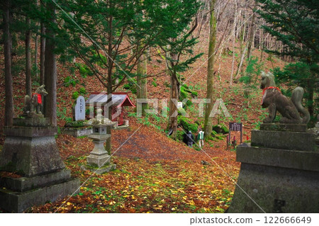 Tono City in late autumn: Looking out over the Inari Cave through the lion statues surrounded by fallen leaves Tono City in late autumn: Looking out over the Inari Cave through the lion statues surrounded by fallen leaves 122666649