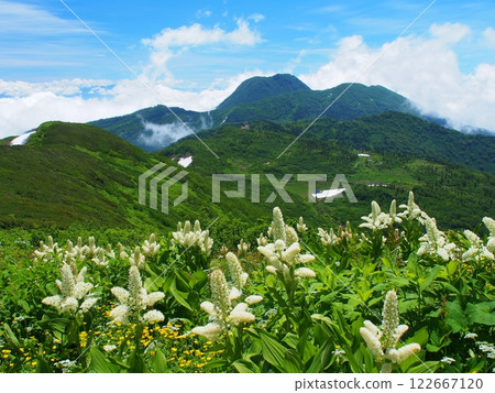 火內山的鈴蘭與遠眺妙高山 122667120