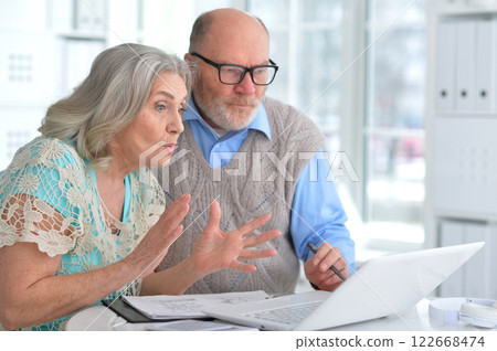 Portrait of an elderly couple using a laptop at home 122668474