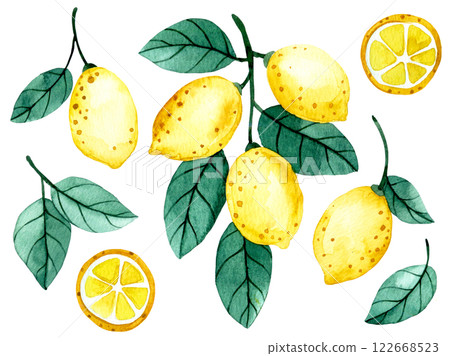 watercolor illustration, set of lemon fruits and leaves. cute drawing in cartoon style watercolor illustration, set of lemon fruits and leaves. cute drawing in cartoon style 122668523