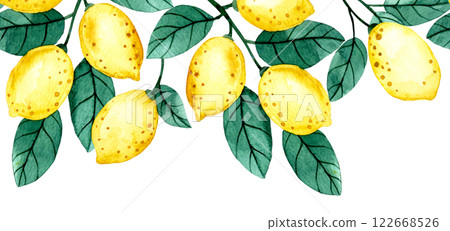 watercolor illustration, seamless border of lemon fruits and leaves. cute frame in cartoon style watercolor illustration, seamless border of lemon fruits and leaves. cute frame in cartoon style 122668526