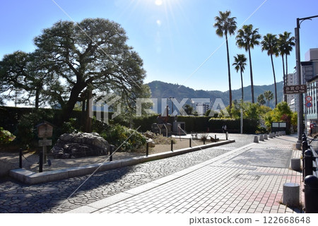 Atami City: Shrine Pine Trees and Streets Atami City: Shrine Pine Trees and Streets 122668648