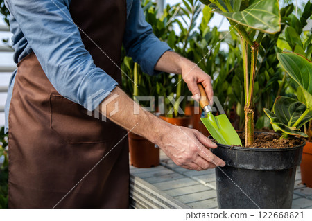 Unrecognizable man gardener transplanting house plant in pot Unrecognizable man gardener transplanting house plant in pot 122668821