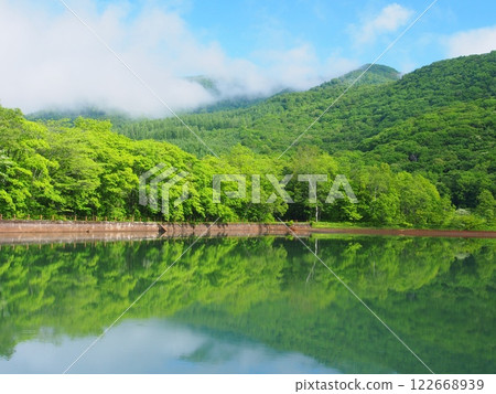 夏季的黑姬山古池塘 122668939