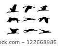 Openbill stork Flying Silhouettes isolated on white background. 122668986