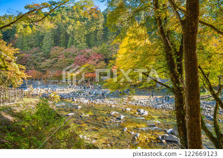 豐田市香嵐溪的紅葉與巴川(愛知縣) 豐田市香嵐溪的紅葉與巴川(愛知縣) 122669123