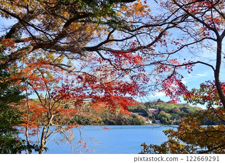 Lake Ippeki Snaps in Early Winter 2024 122669291