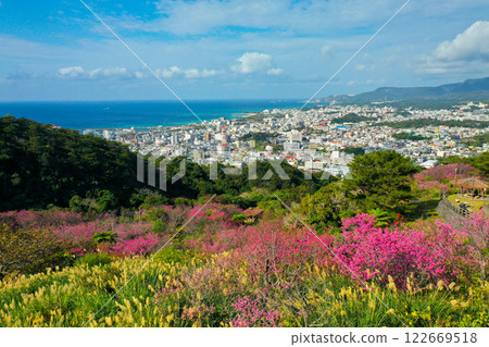 一月沖繩的櫻花盛開 122669518