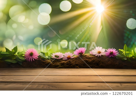Beautiful morning sunlight nature backdrop, flowers and leaf and wood for a product display presentation. 122670201