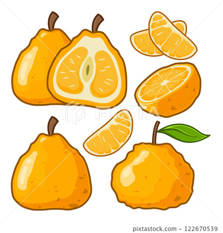 bunch of ugli fruit 122670539