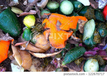 Compost Vegetable waste Food waste Compost Decomposition 122670717