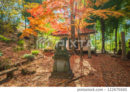 [Kofu Naritasan Fudo Hall] Guardian lions and autumn leaves 122670880