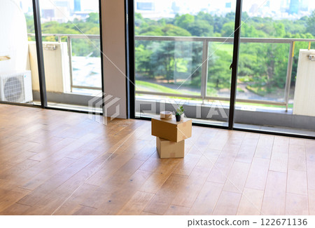 Scenes with cardboard/luggage Scenes with cardboard/luggage 122671136