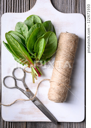 Fresh organic sorrel leaves on white wooden cutting board Fresh organic sorrel leaves on white wooden cutting board 122671930