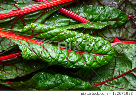 Lush red chard leaves with bloody stems close up Lush red chard leaves with bloody stems close up 122671958