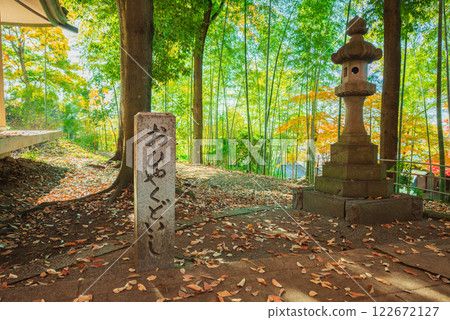 [Kofu Naritasan Fudo Temple] Hyakudo Stone, Bamboo Forest and Autumn Leaves 122672127