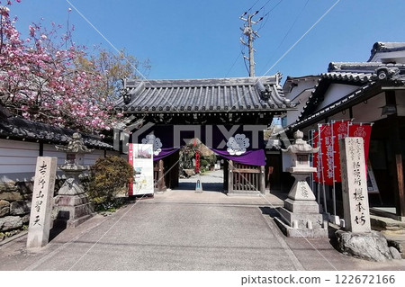 櫻本坊和櫻花 122672166