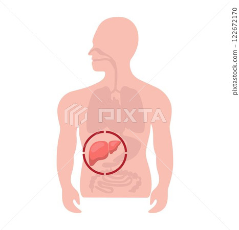 inside human body focus at liver, Hepatitis disease Virus concept inside human body focus at liver, Hepatitis disease Virus concept 122672170