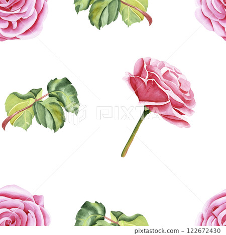 Watercolor seamless pattern of botanical flowers and leaves on isolated background. Garden pink rose. Realistic illustration. Hand drawn in botanical style. Image for your design. 122672430
