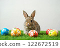 Cute Rabbit Surrounded by Colorful Easter Eggs on Green Grass in a Festive Setting 122672519