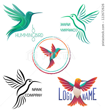 hummingbird beautiful little bird stylish logo for your business set logotype vector illustration 122672626