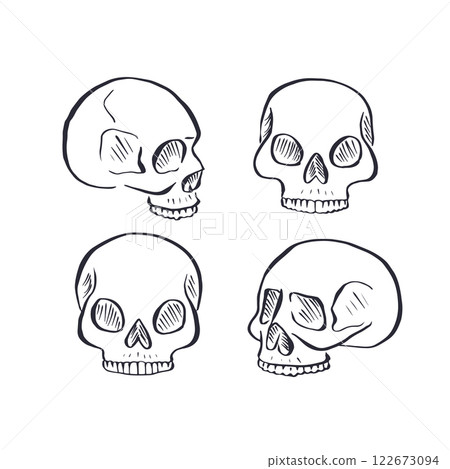 Hand drawn black and white sketchy human skulls set isolated on white background Hand drawn black and white sketchy human skulls set isolated on white background 122673094