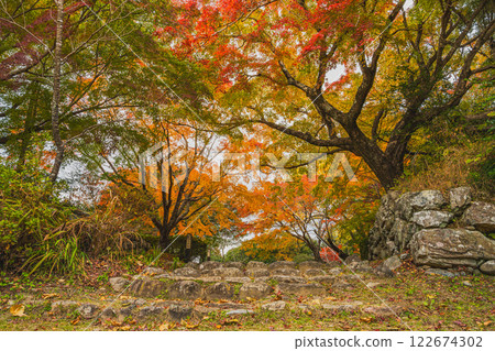 濱松市(靜岡縣)鳥羽山公園的秋葉黃昏 濱松市(靜岡縣)鳥羽山公園的秋葉黃昏 122674302