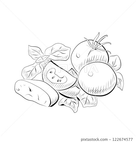 Line drawing. Line art of food - salad with greens and tomatoes. 122674577