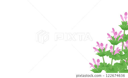 Frame illustration of Lamium amplexicaule Frame illustration of Lamium amplexicaule 122674636