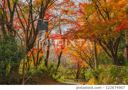 濱松市（靜岡縣）鳥羽山公園的秋葉黃昏 122674907