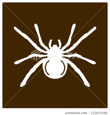 spider icon vector illustration 122675386