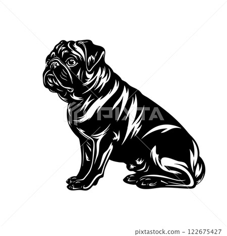 Illustration vector of pug dog in vintage woodcut style with detailed line work and dramatic shading on a white background. Easy editable layers. Pet. Animals. 122675427