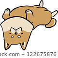 Shiba Inu lying on back 122675876