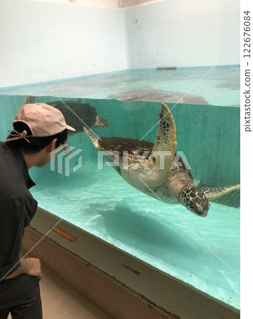 Turtle and man 122676084