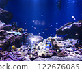 Fantastic aquarium 122676085
