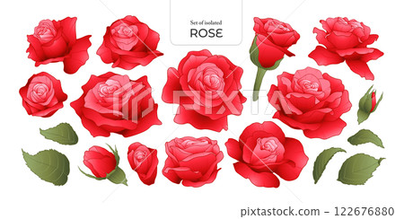 Set of isolated Rose. Cute flower illustration in hand drawn style. Vivid red color tone on a transparent background. Volume 2. Set of isolated Rose. Cute flower illustration in hand drawn style. Vivid red color tone on a transparent background. Volume 2. 122676880