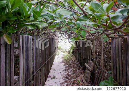 Okinawa Prefecture, Noho Island, Road to the Beach 122677020