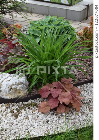 A well-maintained garden area featuring a variety of plants. Textured Landscape Design 122677084