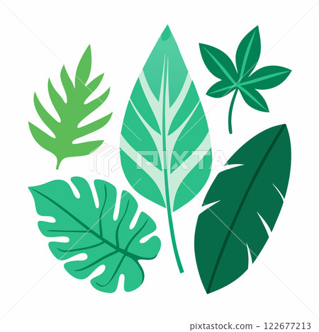 Tropical Leaves Vector Set  Exotic Botanical Illustration Design for Nature Branding and Creative Projects 122677213