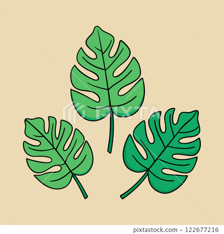 Tropical Leaves Vector Set  Exotic Botanical Illustration Design for Nature Branding and Creative Projects 122677216