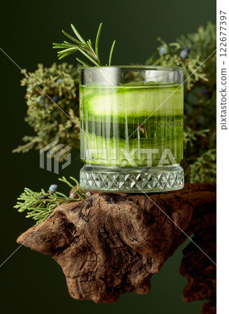 Cocktail gin and tonic with ice, cucumber, and rosemary. Cocktail gin and tonic with ice, cucumber, and rosemary. 122677397