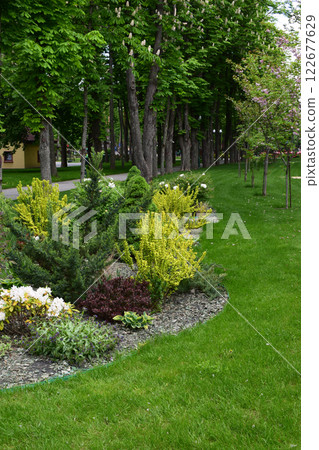 A well-maintained, lush green park area featuring a variety of shrubs, small plants, and trees. Serene Urban Oasis A well-maintained, lush green park area featuring a variety of shrubs, small plants, and trees. Serene Urban Oasis 122677629